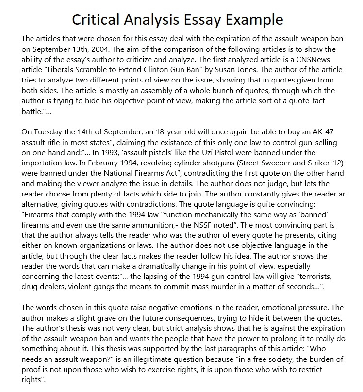 Critical Essay Sample
